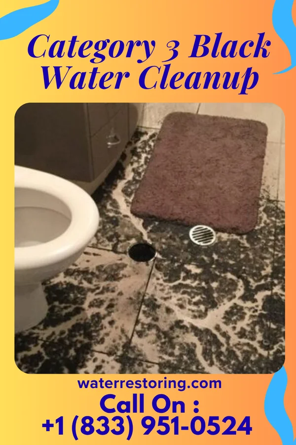 Category 3 Black Water Cleanup in Brewster, NE