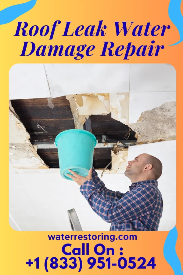 Roof Leak Water Damage Repair in Brewster, NE